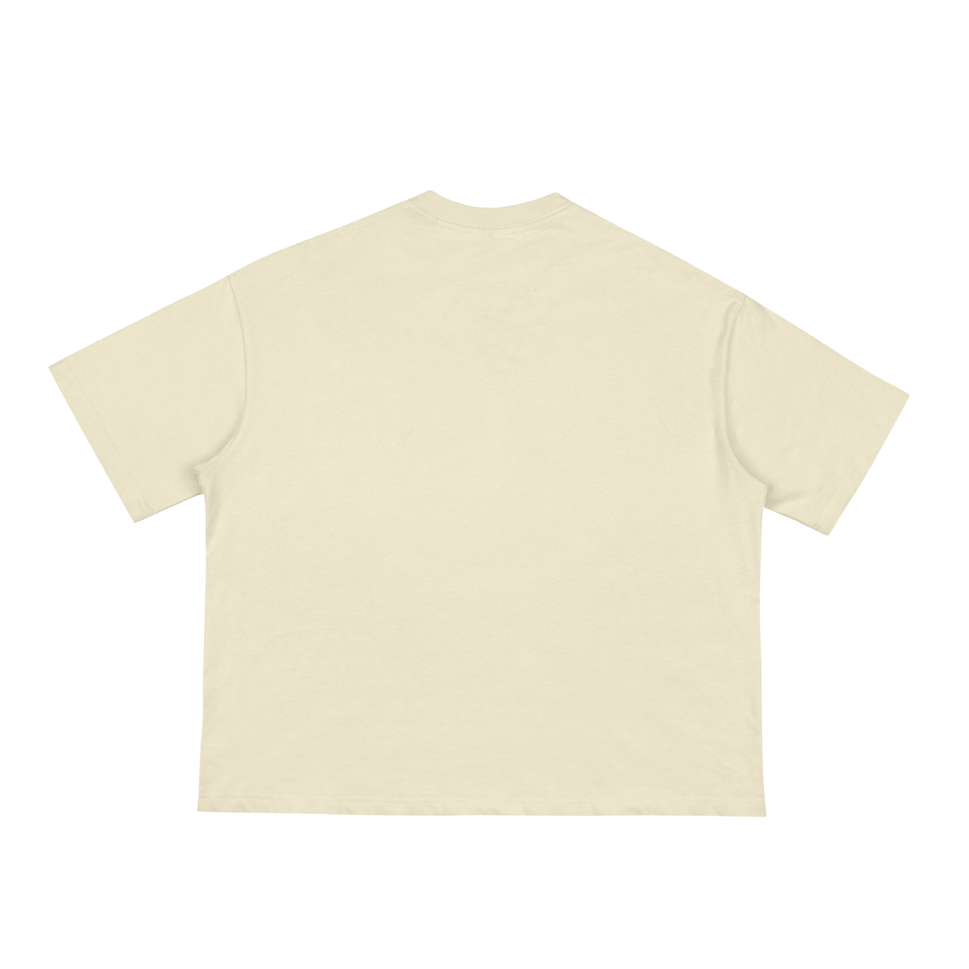 There Is No Planet B - Cropped Boxy Tee